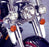 National Cycle Chrome Lower Deflectors Lower wind deflector