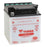 Yuasa Battery YuMicron YB30CL-B