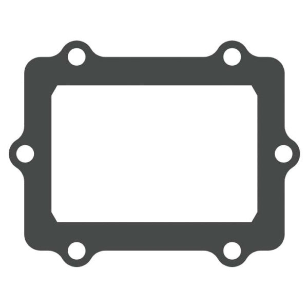 VForce Petal Gasket Fits Polaris