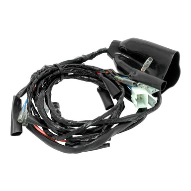 DRC/ZETA/UNIT Main Harness