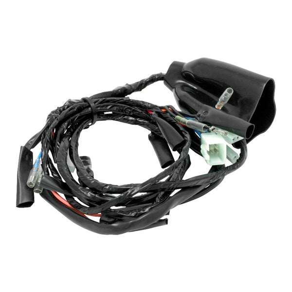 DRC/ZETA/UNIT Main Harness