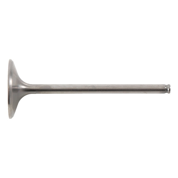 Hot Cams Intake Valve - Steel & titanium Fits Honda