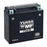 Yuasa Battery Maintenance Free AGM Factory Activated YTX15L