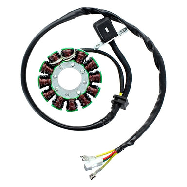 ElectroSport Stator Fits KTM - 151165