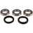 Pivot Works Wheel Bearing Kit