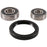 Pivot Works Wheel Bearing Kit