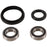Pivot Works Wheel Bearing Kit