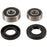 Pivot Works Wheel Bearing Kit