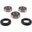 Pivot Works Wheel Bearing Kit