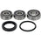 Pivot Works Wheel Bearing Kit