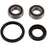 Pivot Works Wheel Bearing Kit