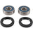 Pivot Works Wheel Bearing Kit