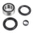 Kimpex Wheel Bearing & Seal Kit