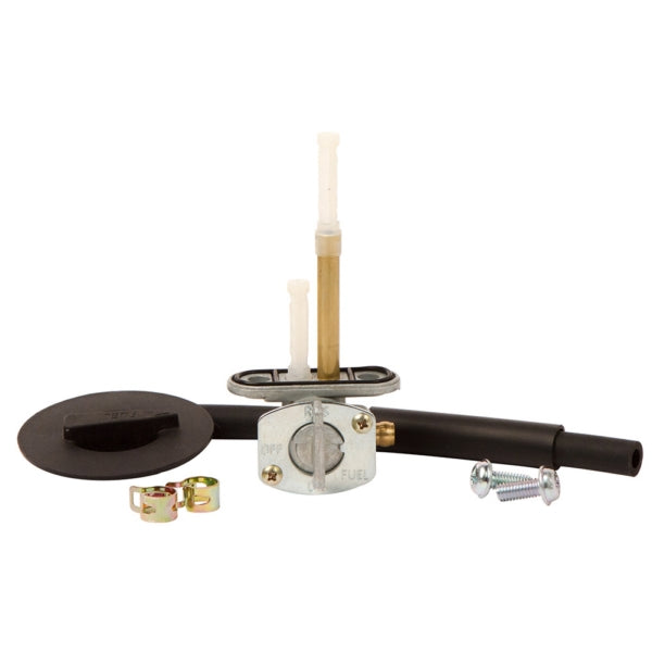 All Balls Fuel Valve Kit