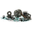 VertexWinderosa Complete Engine Kit Fits Honda