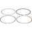 VertexWinderosa Piston Ring Set Fits Honda