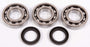 All Balls Crankshaft Bearing and Seal Kit Fits Polaris - ATV, UTV