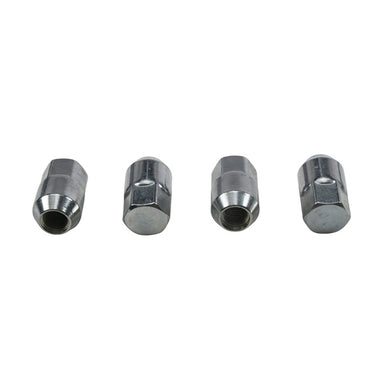 All Balls Wheel Nut Kit 209705