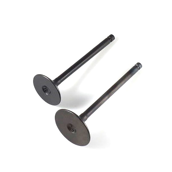 Shindy Engine Valve Kit Fits Polaris