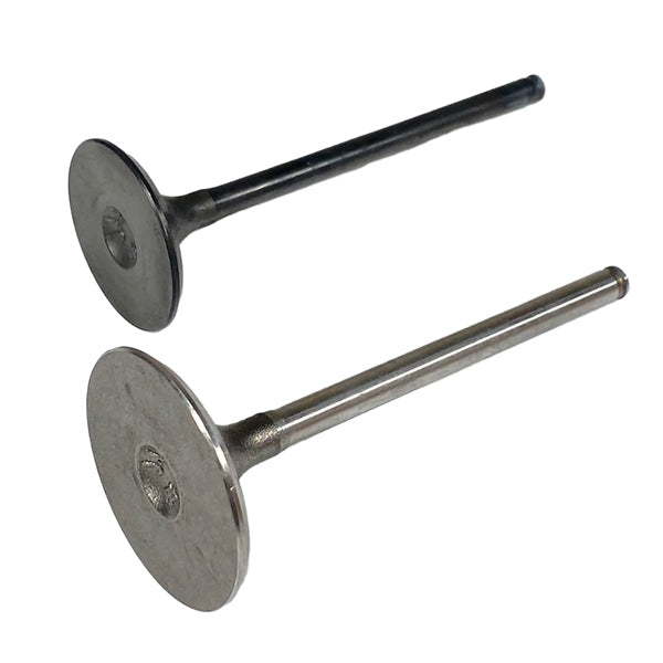 Shindy Engine Valve Kit Fits Honda