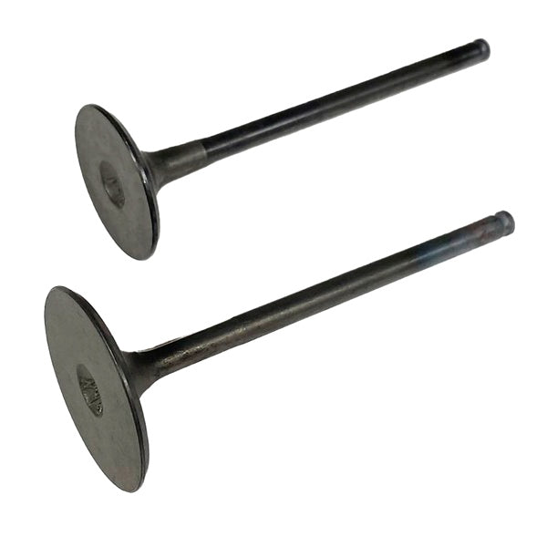 Shindy Engine Valve Kit Fits Polaris