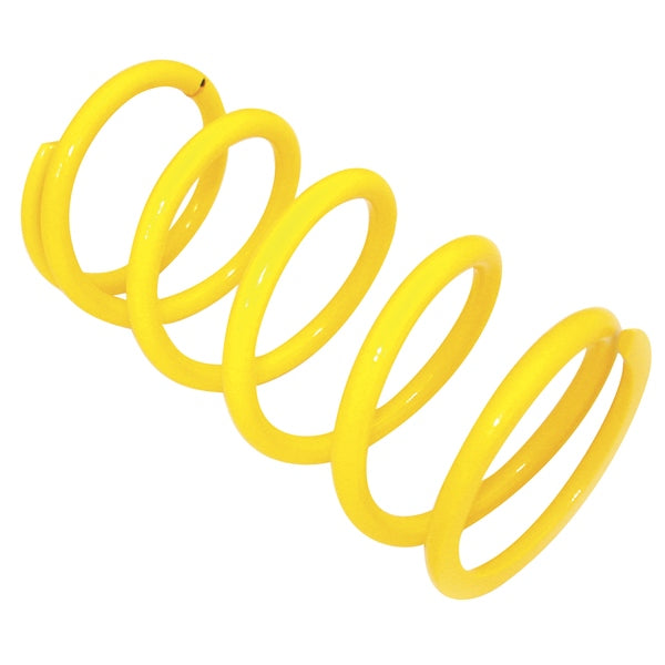 EPI Primary Clutch Spring (Drive)