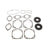 VertexWinderosa Professional Complete Gasket Sets with Oil Seals Fits Ski-doo - 09-711021X