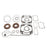 VertexWinderosa Professional Complete Gasket Sets with Oil Seals Fits Arctic cat - 09-711262