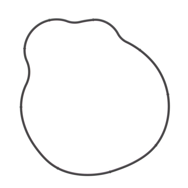 VertexWinderosa Ignition Cover Gasket Fits Polaris - 287869