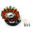 Kimpex HD Stator Fits Kawasaki - 289100