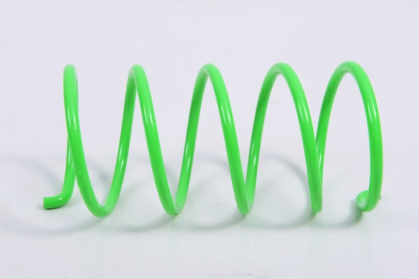 EPI Secondary Clutch Spring (Driven)