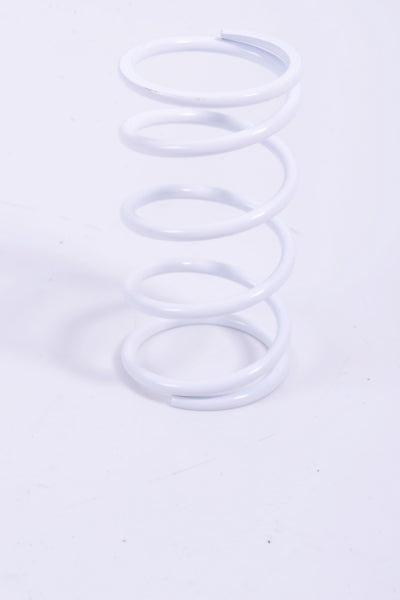 EPI Primary Clutch Spring (Drive)