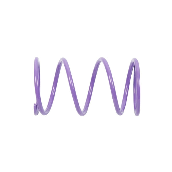 EPI Primary Clutch Spring (Drive)