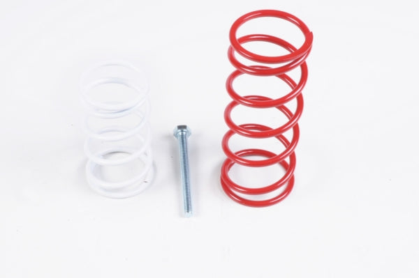 EPI Clutch Kit - Economy N/A