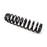 EPI Suspension Spring