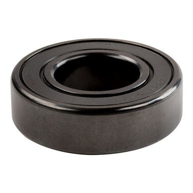 NTN Black Ice Ball Bearings