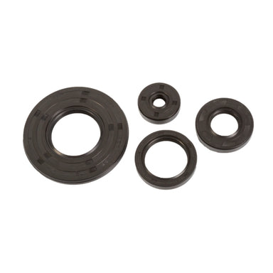VertexWinderosa Crankcase Oil Seal Sets Fits Ski-doo - 09-55190