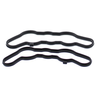 VertexWinderosa Power Valve Gasket Sets Fits Polaris
