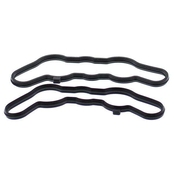 VertexWinderosa Power Valve Gasket Sets Fits Polaris