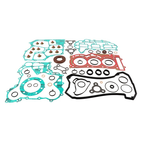 VertexWinderosa Professional Complete Gasket Sets with Oil Seals Fits Ski-doo - 304796