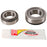 Pivot Works Steering Stem Bearing Kit