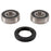 Pivot Works Wheel Bearing Kit