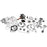 VertexWinderosa Complete Engine Kit Fits Honda