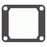 VForce4Ri Petal Gasket Fits Yamaha