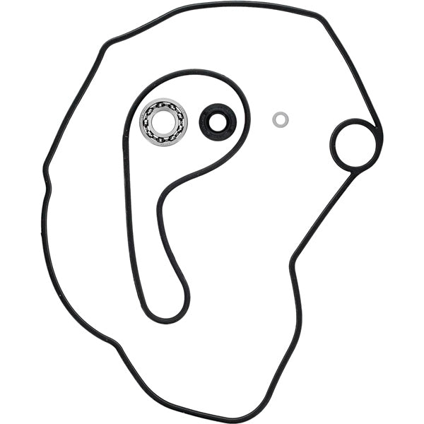 VertexWinderosa Water Pump Repair Kit Fits Polaris