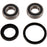 Pivot Works Wheel Bearing Kit