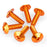 Puig Screw Kit for Screen