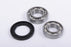 COMMANDER Bearing & seal kit TREK