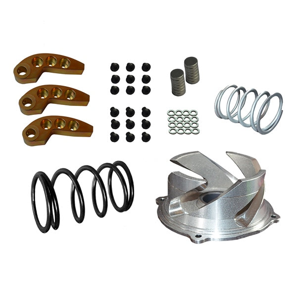 Straightline Clutch Kit with Adjustable Weight Fits Polaris - Steel