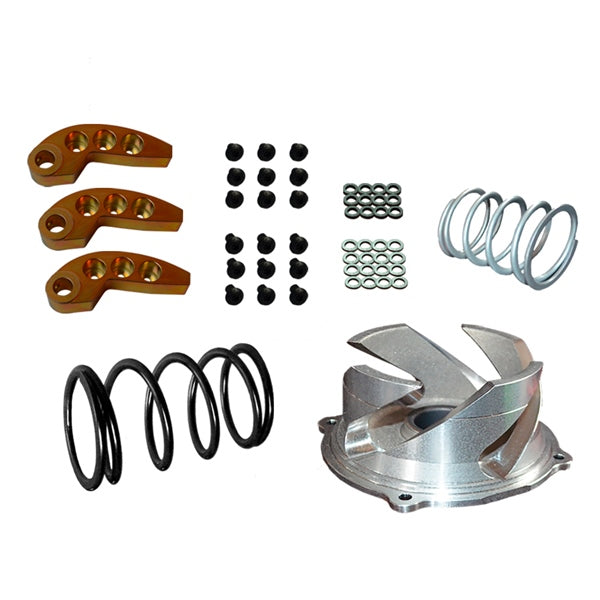 Straightline Clutch Kit with Adjustable Weight Fits Polaris - Steel